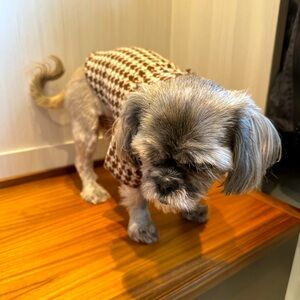 MARTHA STEWART doggie sweater sz sm